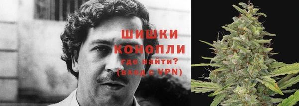 амф Алзамай