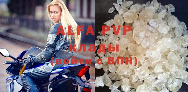 индика Киреевск