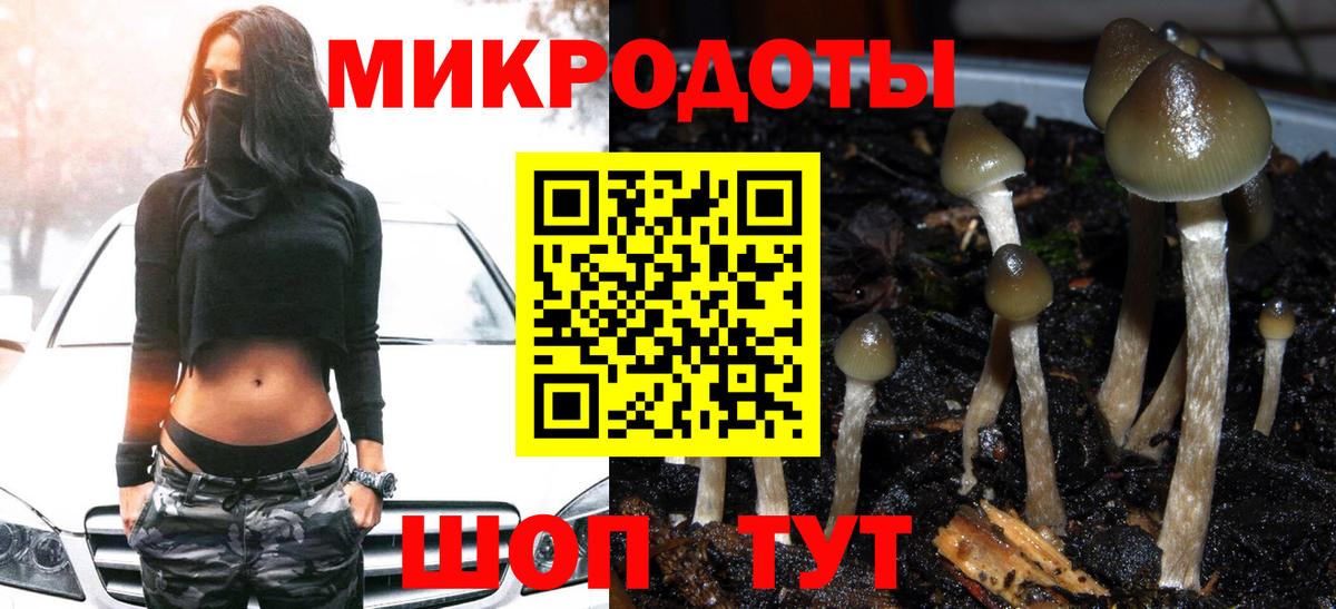 Галлюциногенные грибы Cubensis Строитель
